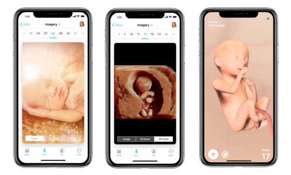 Imagenes-3D-de-la-app-(Fuente-App-Pregnancy+)