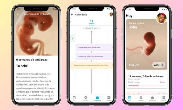 Registros-del-embarazo-(Fuente-App-Pregnancy+)