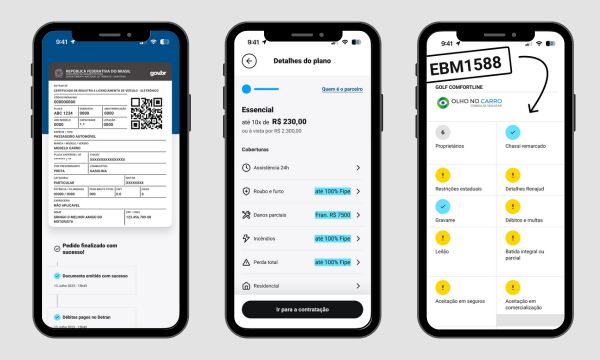 Informacion-del-vehiculo-en-la-App-Gringo-(Fuente-Google)